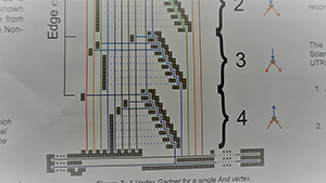 utrgv computer science degree plan 2023