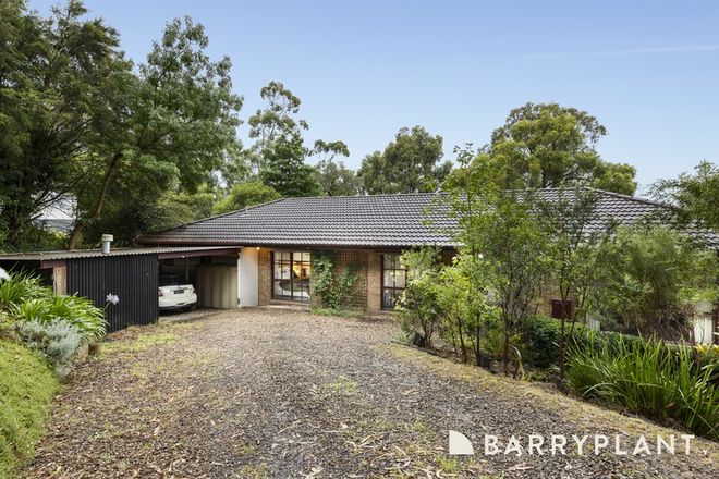 healesville real estate for sale