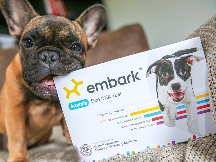 embark dog dna test australia