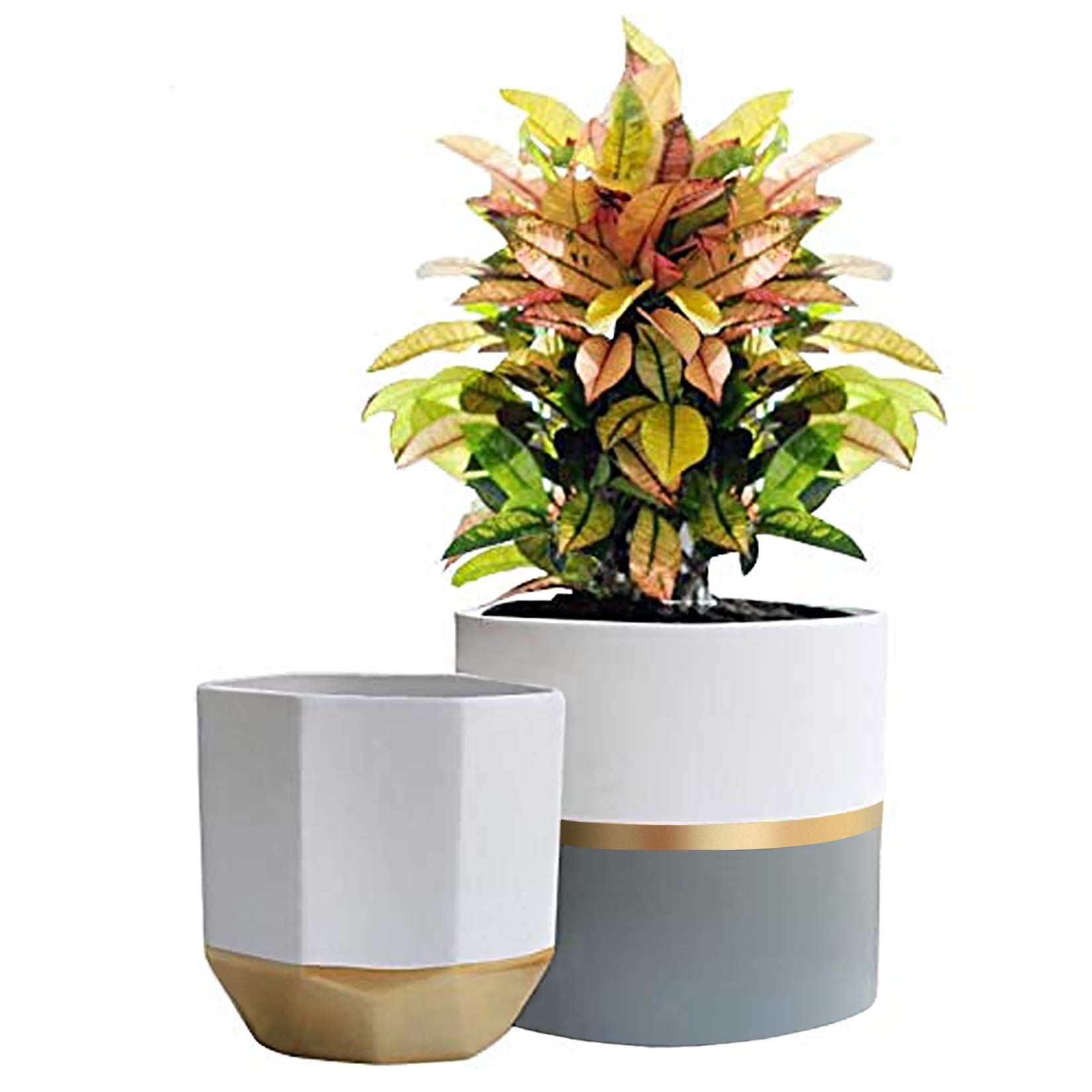 white ceramic flower pots