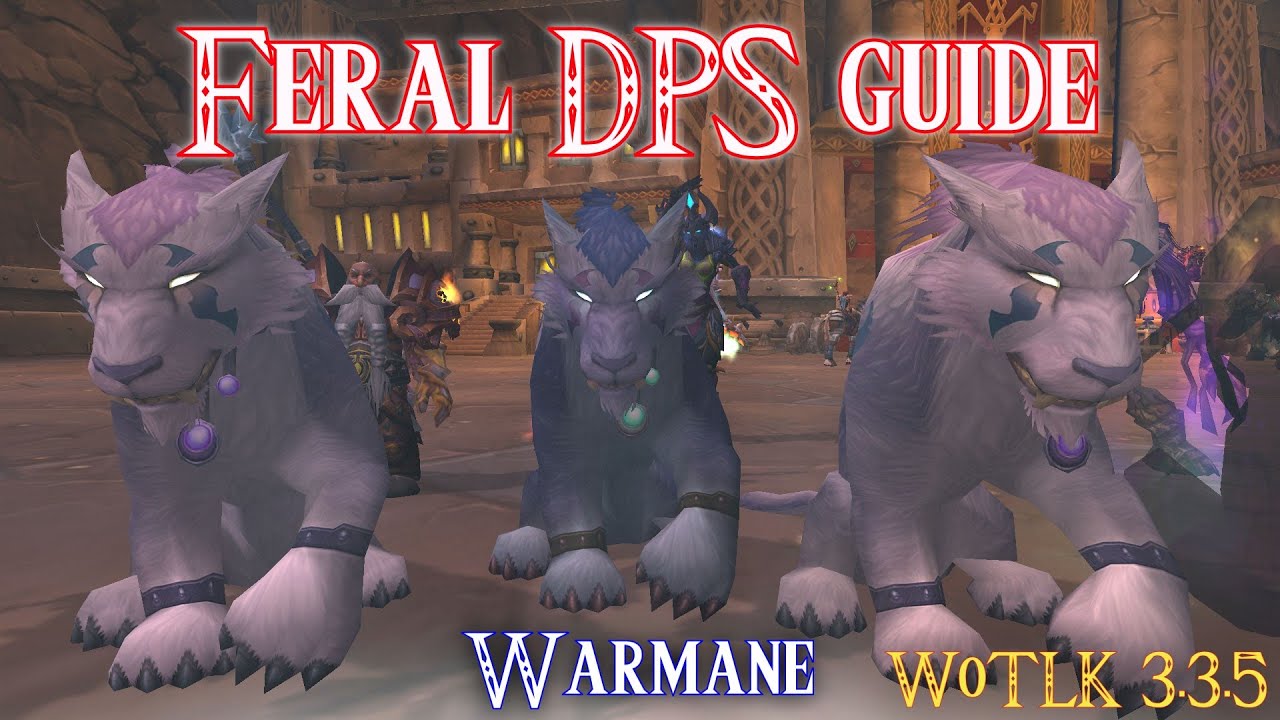 feral druid dps wotlk