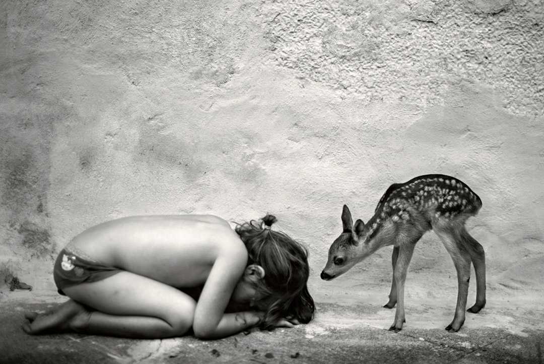 at the edge of the world level 6 jock sturges