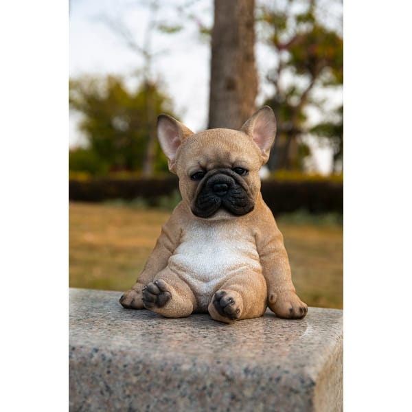 french bulldog puppies for sale