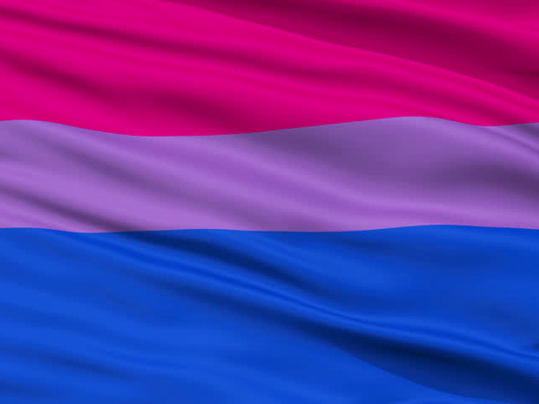 foto de la bandera bisexual