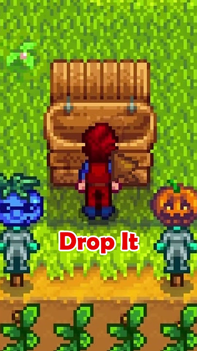 stardew valley short