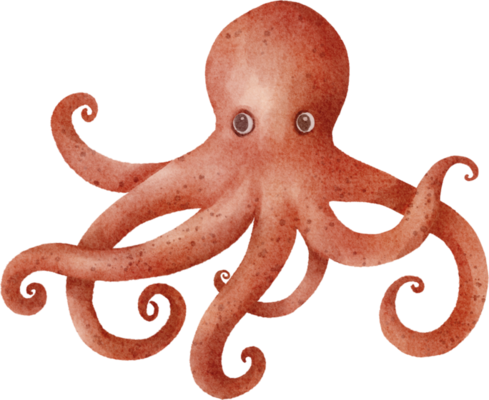 realistic octopus clipart