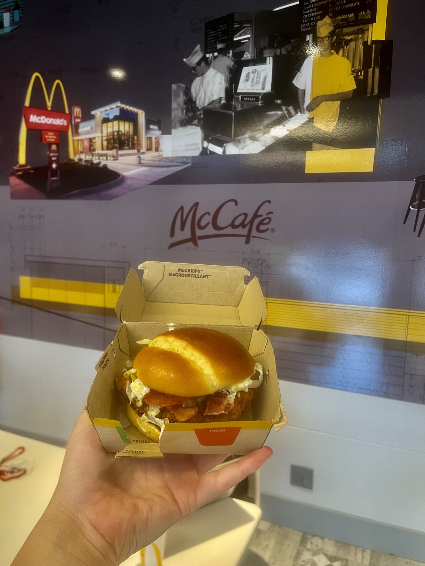 mccrispy size