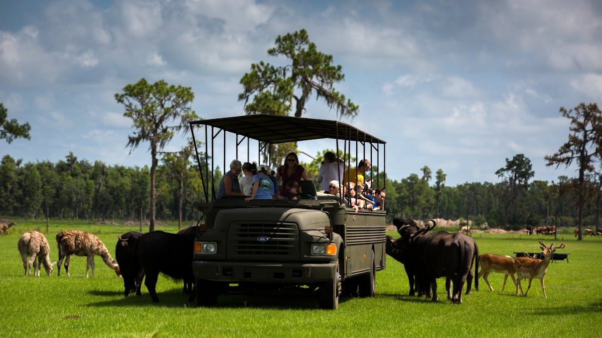 safari wilderness moore road lakeland fl