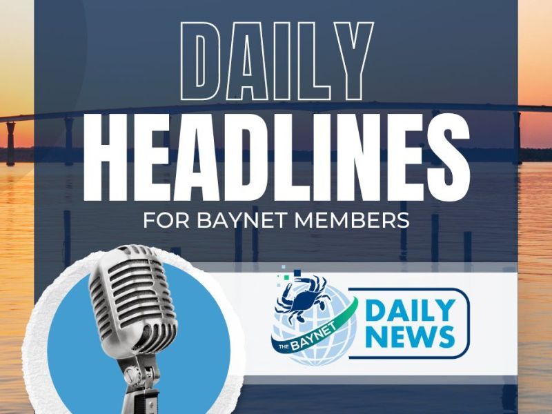 baynet news