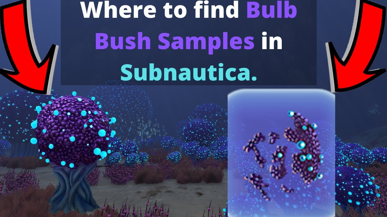 subnautica bulb bush