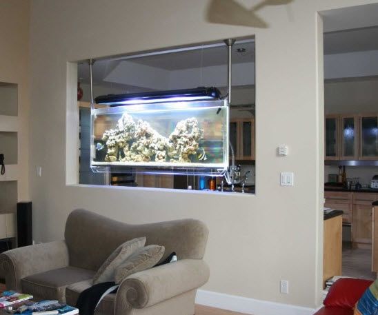 wall hanging fish tank