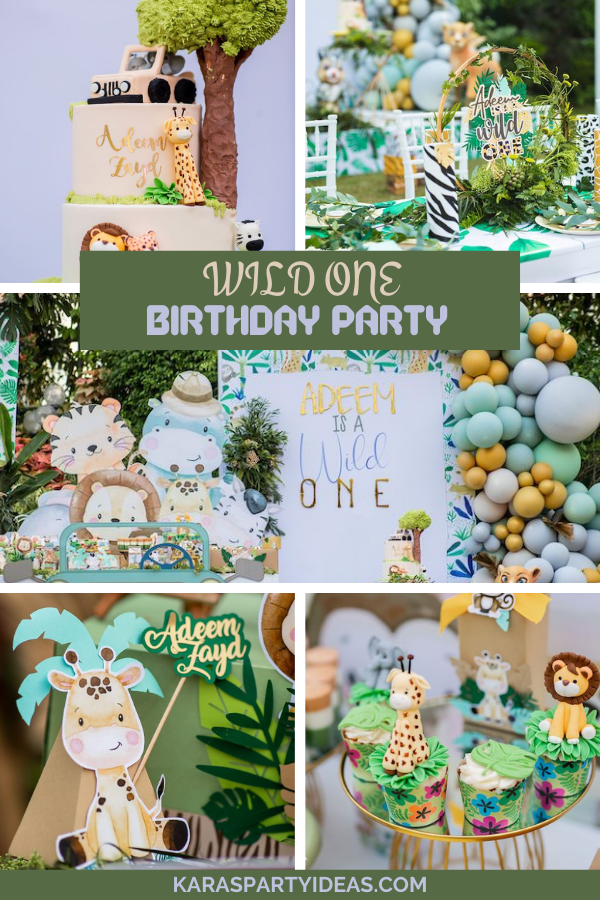 wild one birthday theme