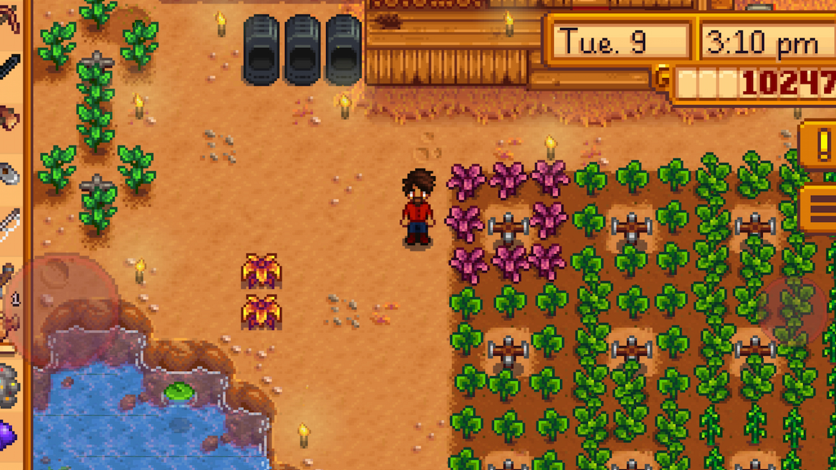 amaranth stardew valley