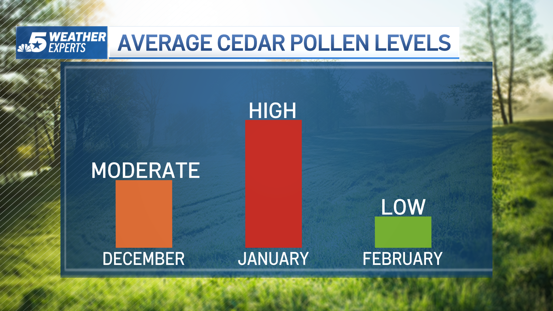 juniper pollen count dallas