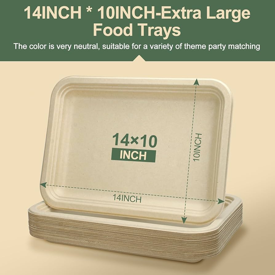 disposable lunch plates