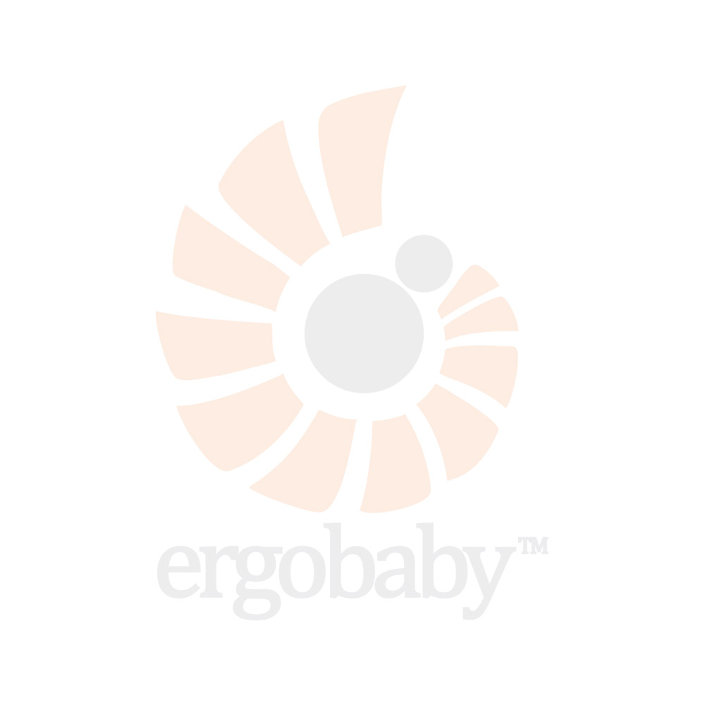 carrier ergobaby 360