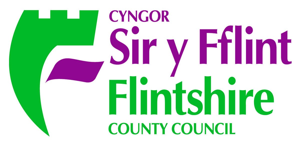 flintshire county council