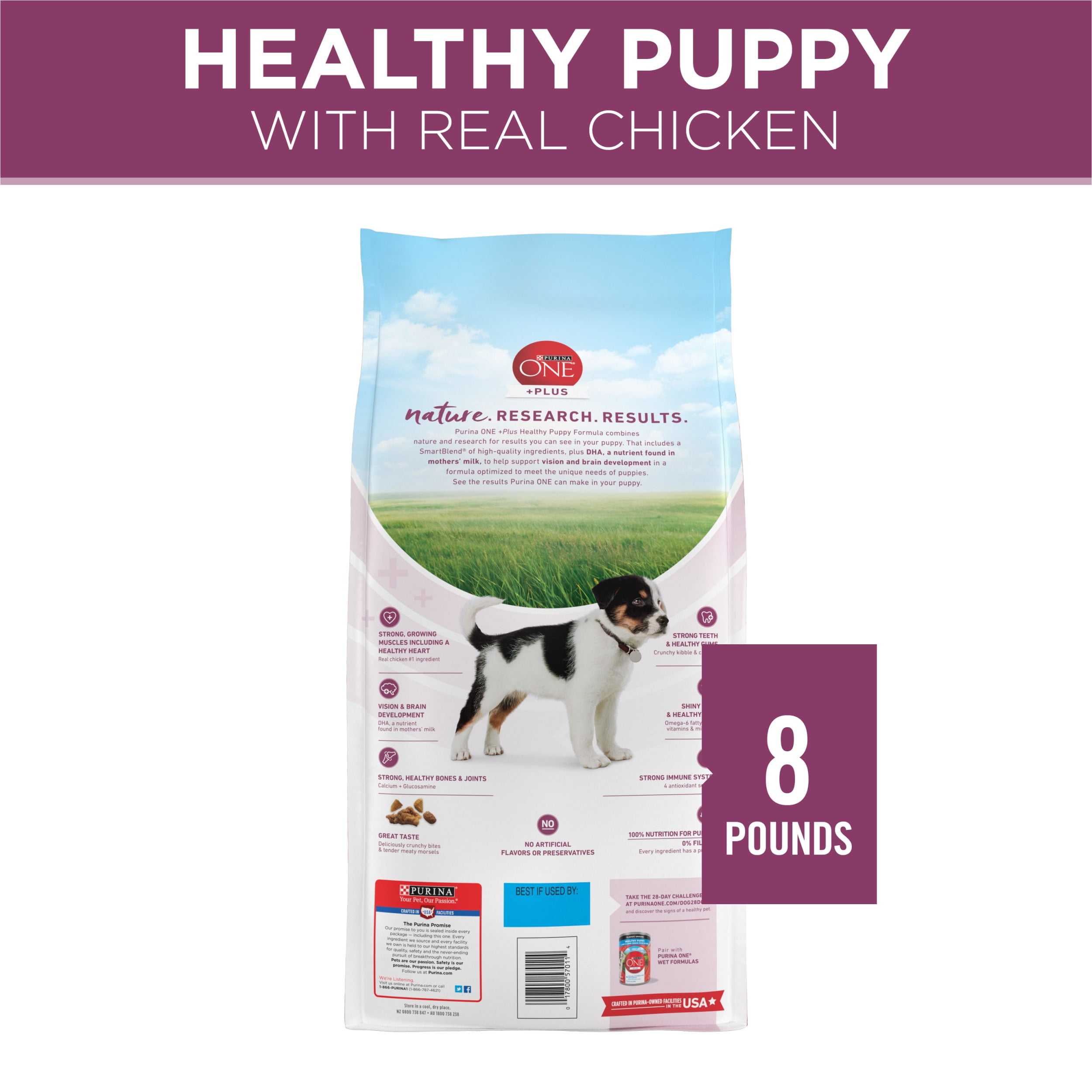 purina plus puppy food