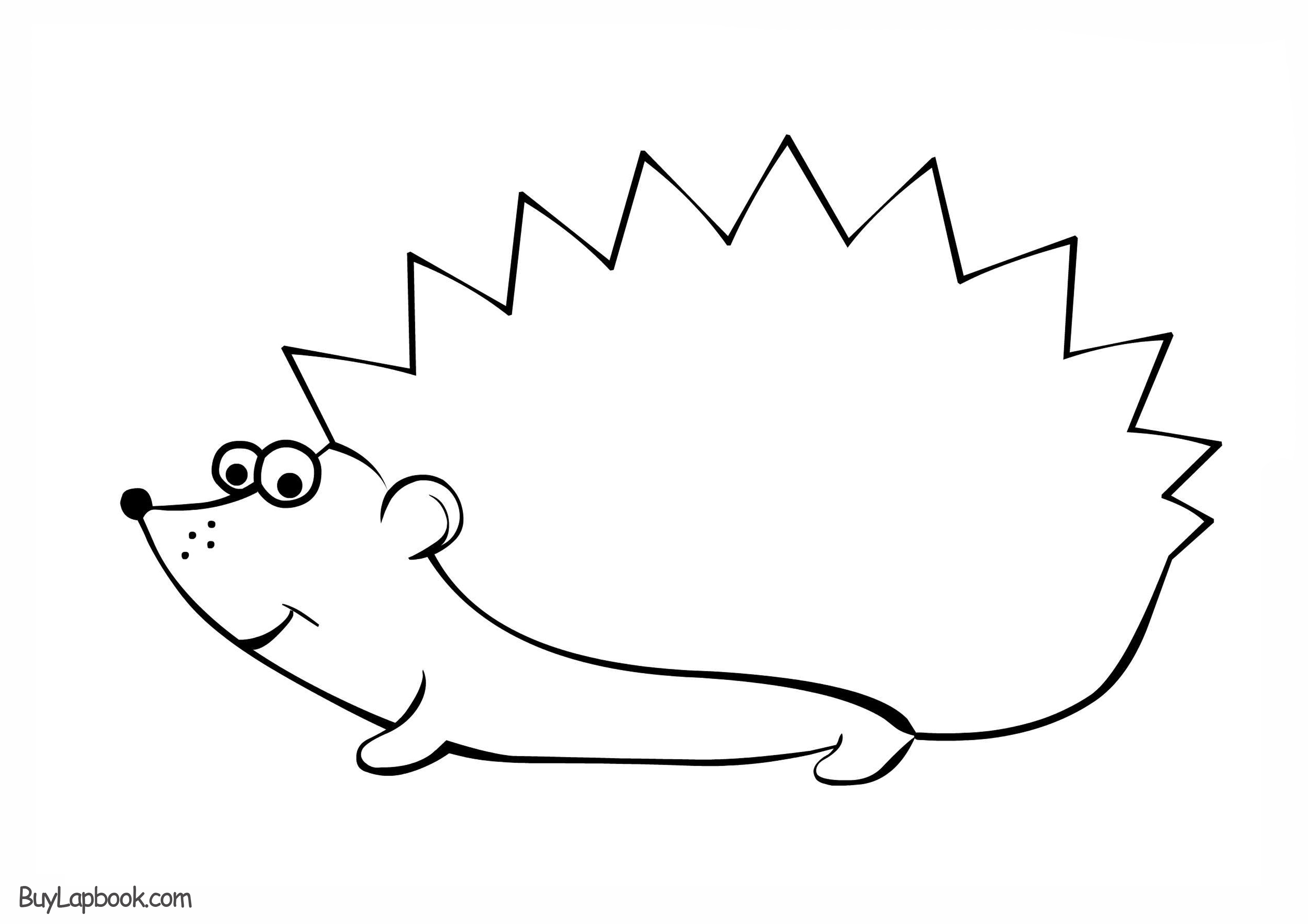 template of a hedgehog