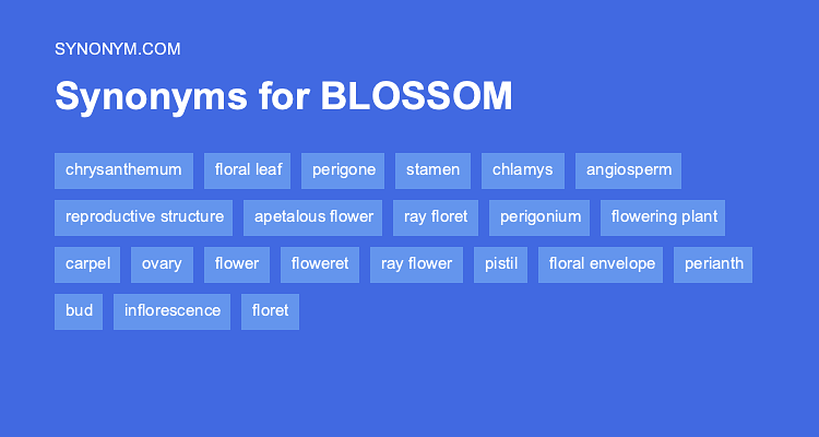 blossom synonym