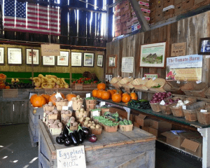 tomato barn washington boro