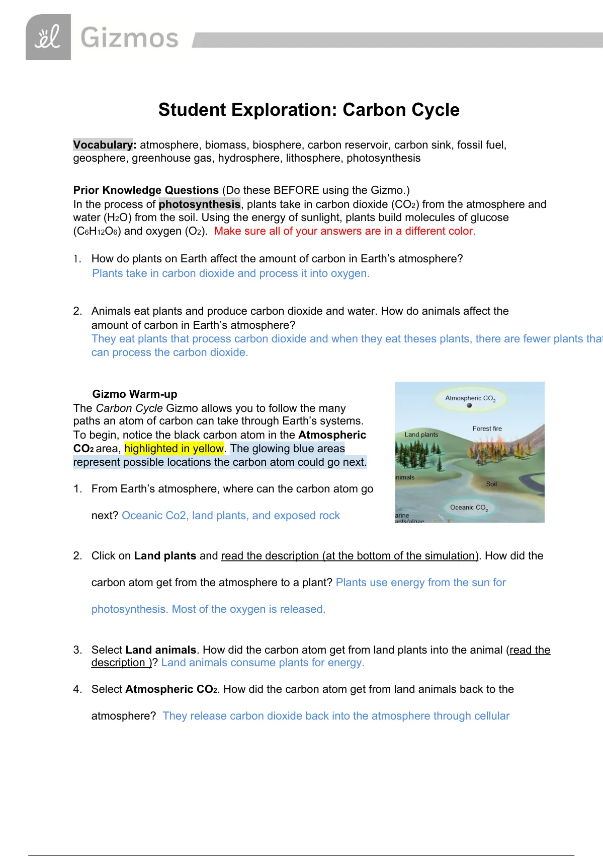 carbon cycle gizmo answers