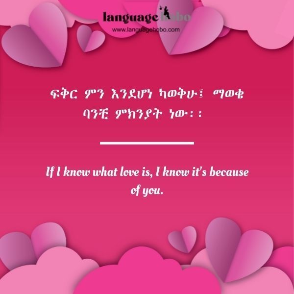 amharic love quotes