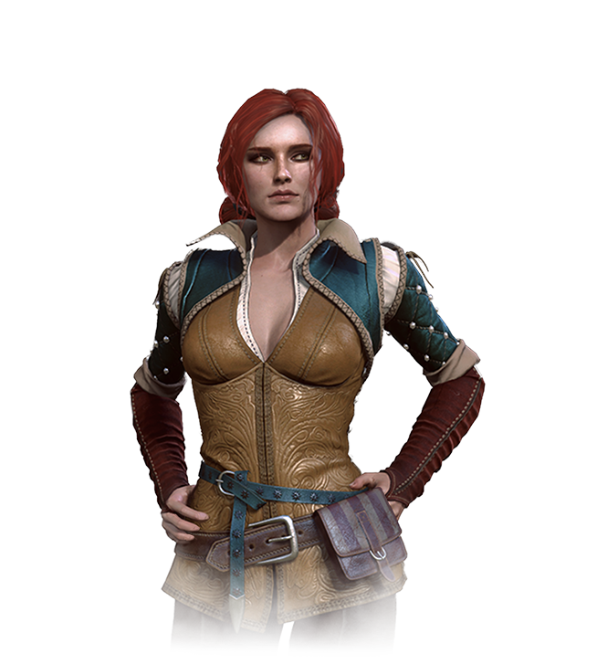 the witcher 3 triss