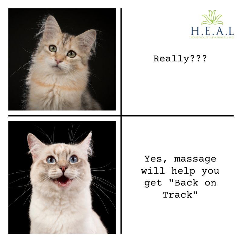 funny massage memes