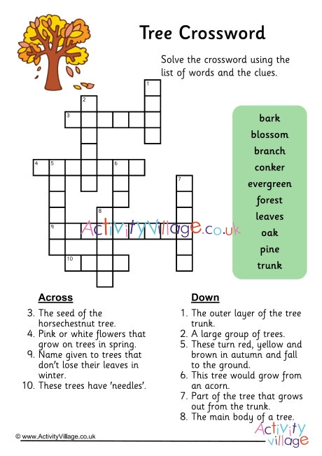 small shrub or tree crossword clue