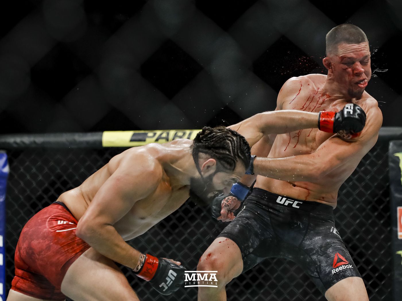 nate diaz ko