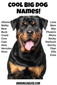 nombres para perros rottweiler bravos