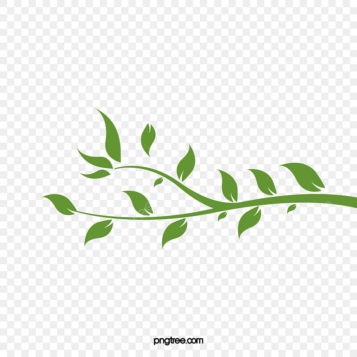 vine clipart