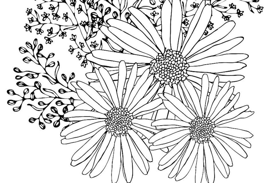 flower coloring pages to print