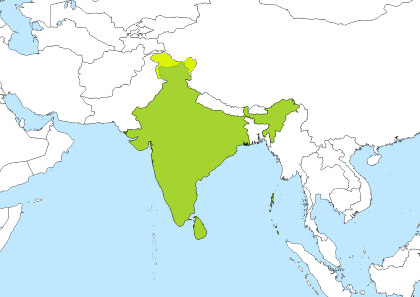 utc time to india time