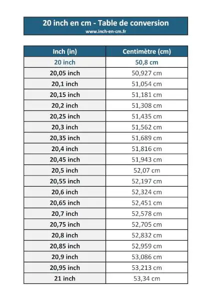 20 inches into cm