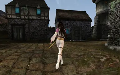 morrowind animation mod