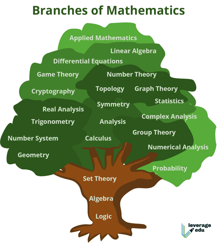 branch of maths 8 letters