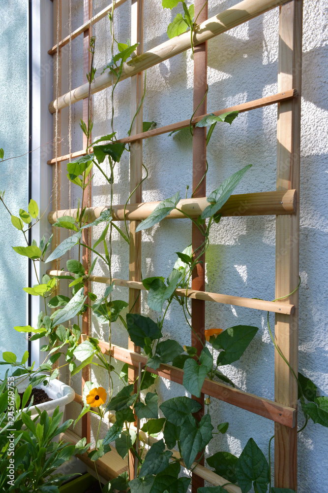 balcony trellis