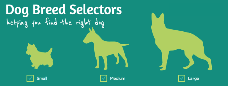 dog breed selector quiz