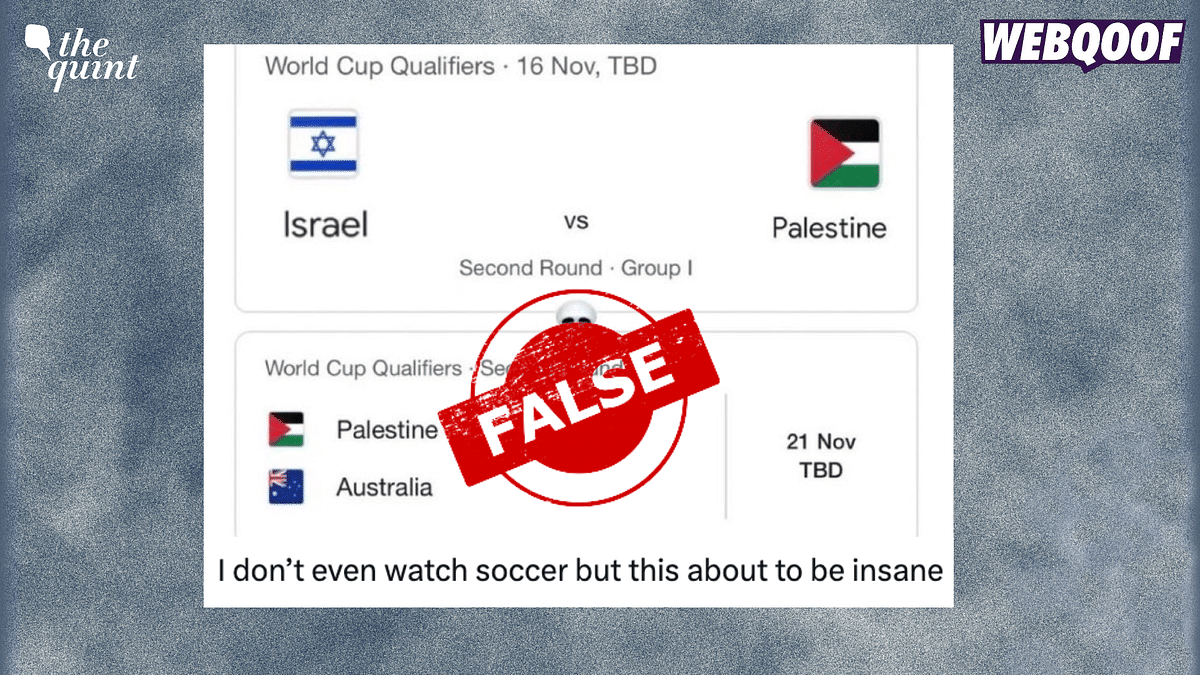 israel vs palestine world cup qualifiers nov 16