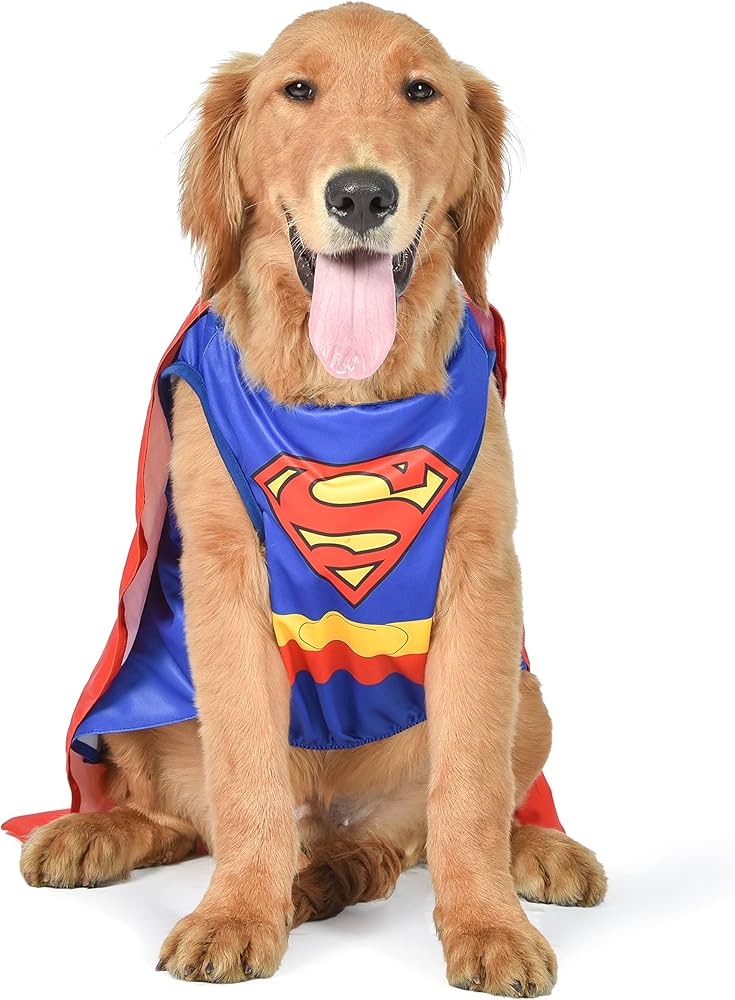 dog superhero costume