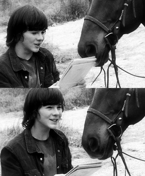 chandler riggs horse