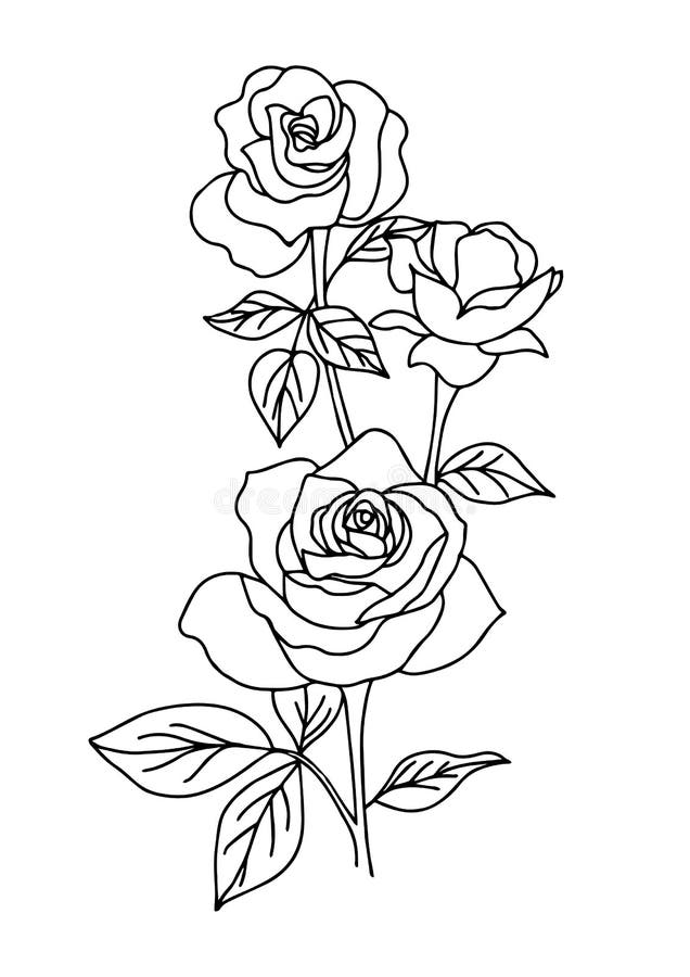 rose tattoo drawing