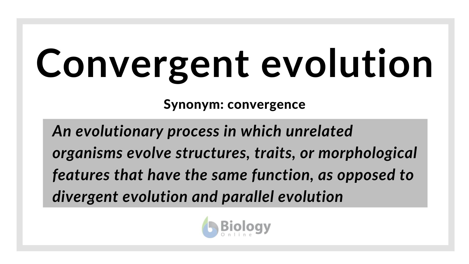 convergence synonym