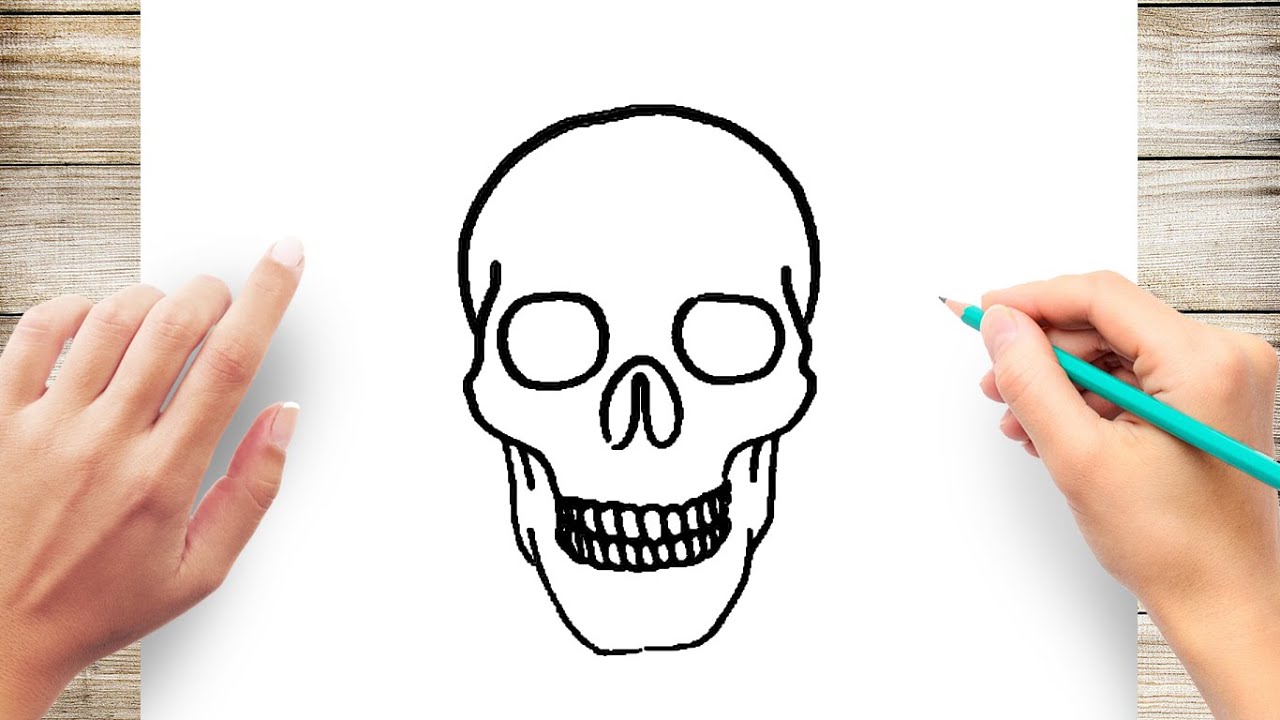 skull drawing