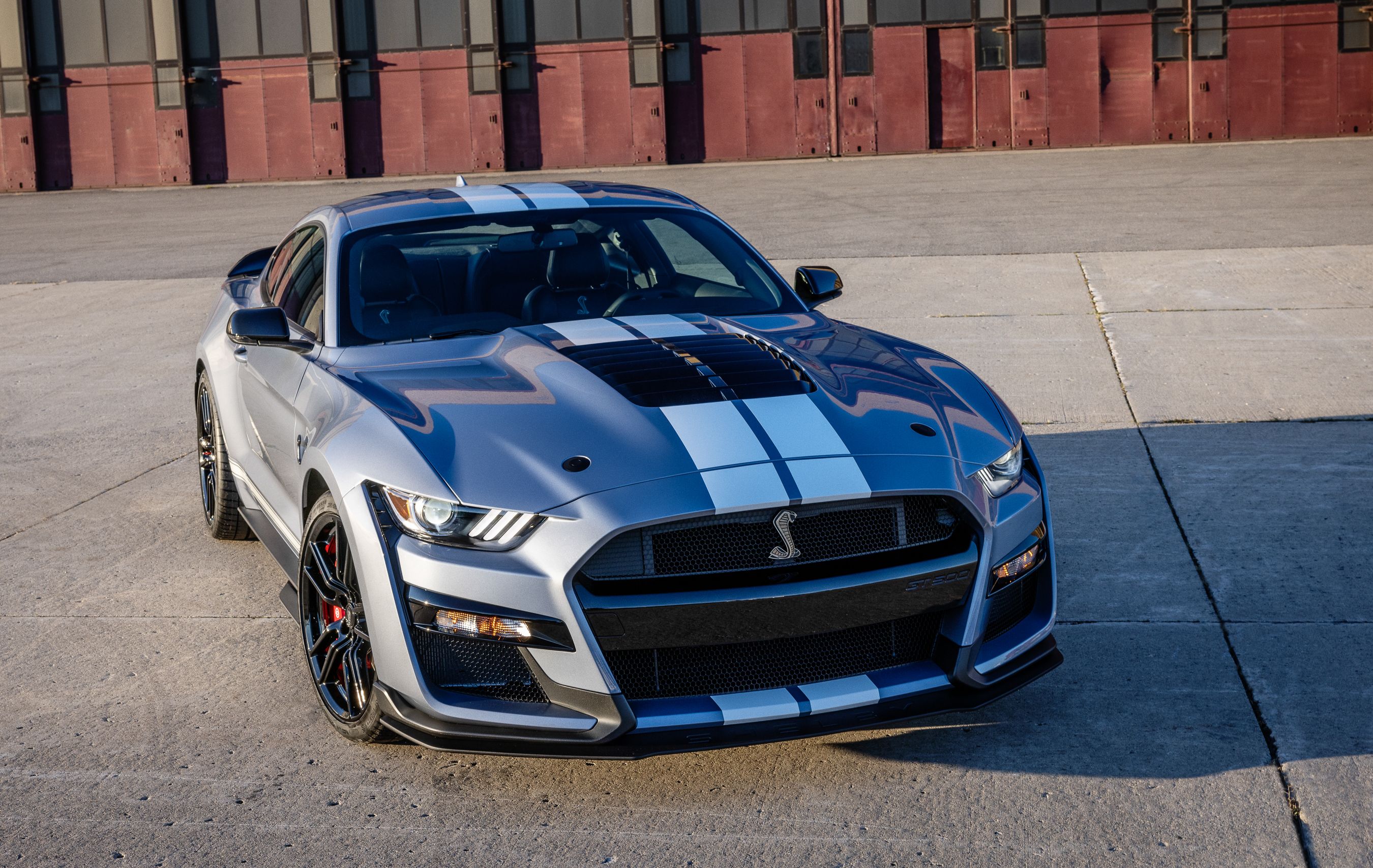mustang gt shelby for sale