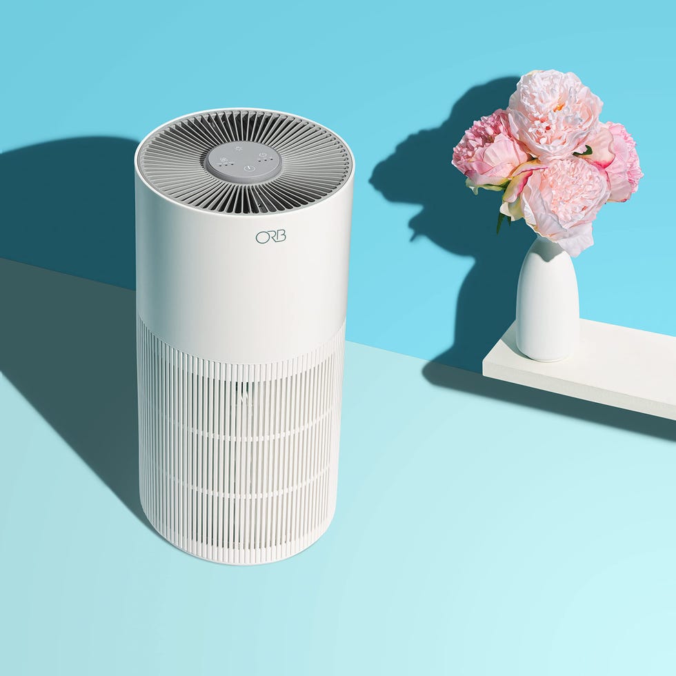 air purifier humidifier combo