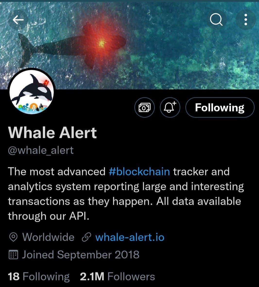 whale alerts