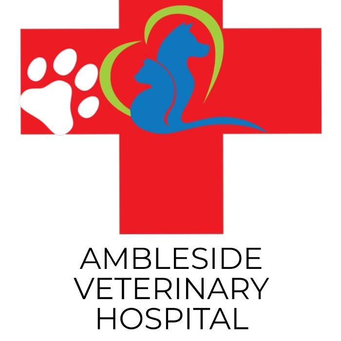 ambleside veterinary hospital